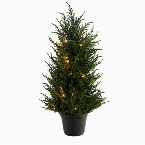 Make your Christmas more beautiful and happy – don't forget to buy your tree.